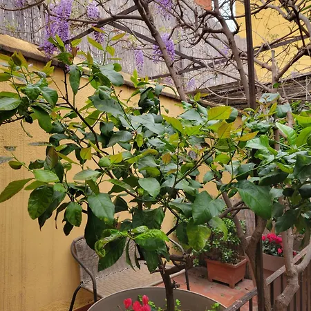 Le Patio St Jacques דירה פרפיניין